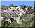 IMG_5050.JPG