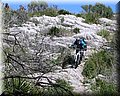 IMG_5052.JPG