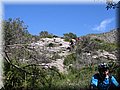 IMG_5055.JPG
