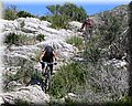 IMG_5056.JPG