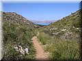 IMG_5067.JPG