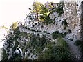 IMG_5096.JPG