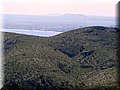 IMG_5101.JPG
