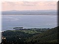 IMG_5102.JPG
