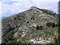 IMG_5103.JPG