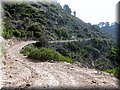 IMG_5282.JPG