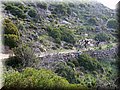 IMG_5283.JPG
