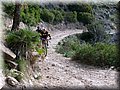 IMG_5288.JPG