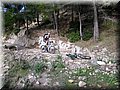 IMG_5291.JPG