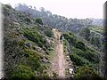IMG_5292.JPG