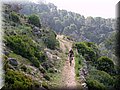 IMG_5295.JPG