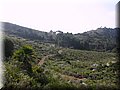 IMG_5296.JPG