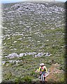 IMG_5309.JPG