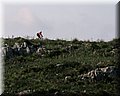 IMG_5310.JPG