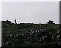 IMG_5311.JPG