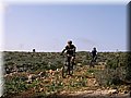 IMG_5313.JPG