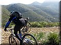 IMG_5314.JPG