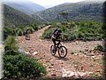 IMG_5316.JPG