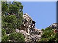 IMG_5334.JPG