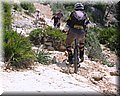 IMG_5340.JPG