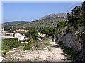 IMG_5352.JPG