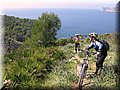 IMG_5353.JPG