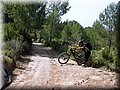 IMG_5357.JPG