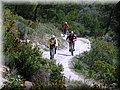 IMG_5362.JPG