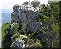 IMG_5395.JPG