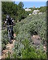 IMG_5404.JPG