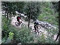 IMG_5797.JPG
