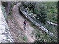 IMG_5799.JPG