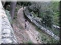 IMG_5800.JPG