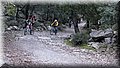 IMG_5804.JPG