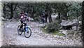 IMG_5807.JPG