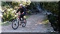 IMG_5811.JPG