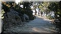 IMG_5815.JPG