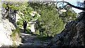 IMG_5817.JPG