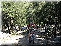 IMG_5846.JPG