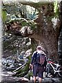 IMG_5930.JPG