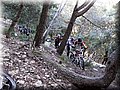 IMG_5937.JPG