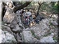 IMG_5940.JPG