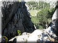 IMG_5953.JPG