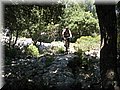 IMG_5957.JPG