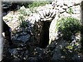IMG_5961.JPG