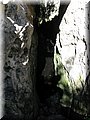 IMG_5963.JPG
