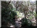 IMG_5971.JPG