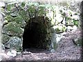 IMG_5972.JPG