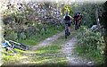 IMG_5980.JPG