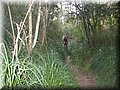 IMG_5986.JPG